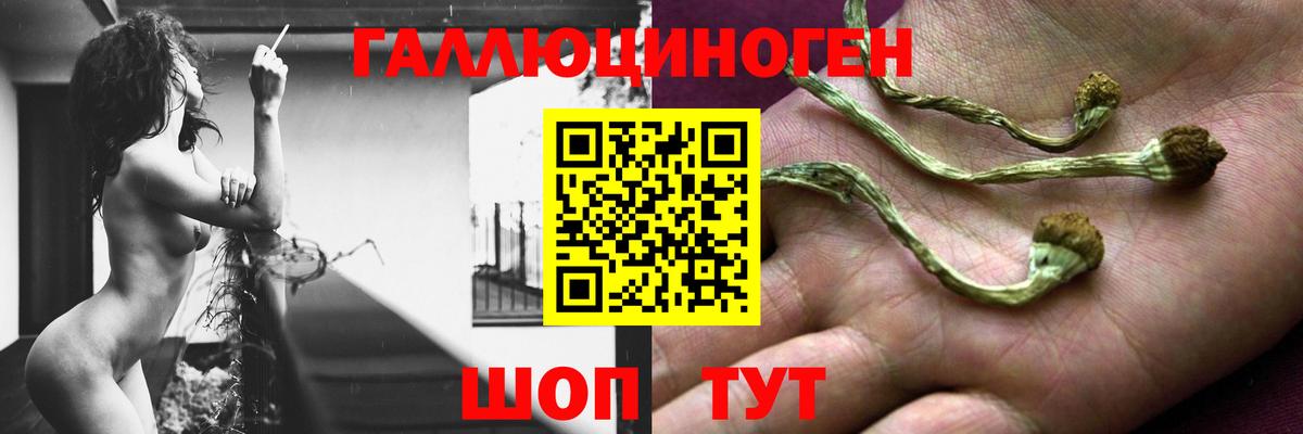 Псилоцибиновые грибы прущие грибы Чехов